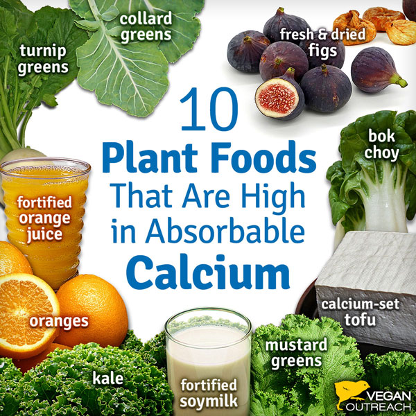 Vegan Calcium Food Chart