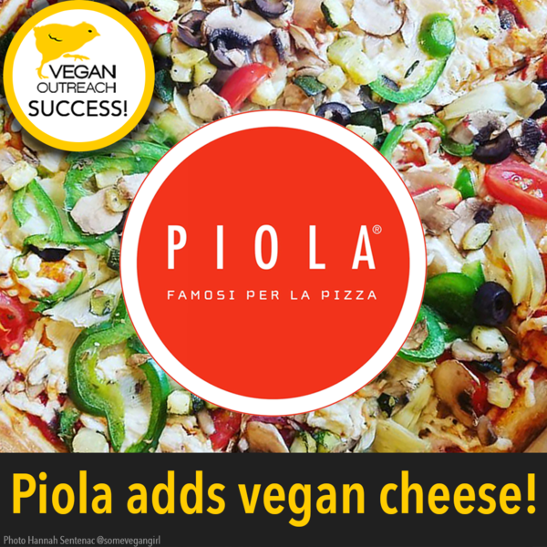 Success?Piola Adds Vegan Cheese to 10 Locations!