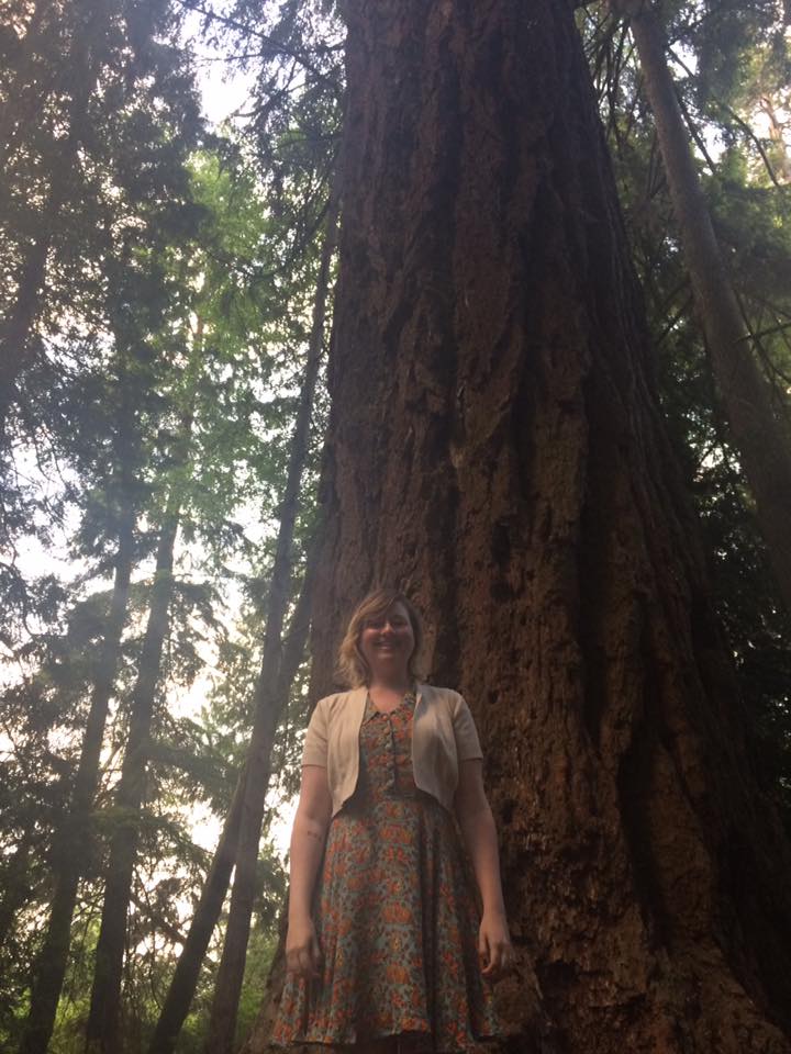 tacoma old tree