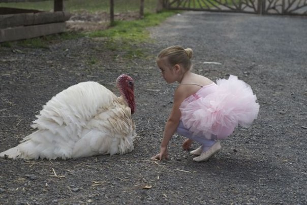 turkey-CK-vegan-ballet-slippers